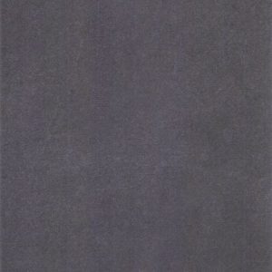 CW Timber Porcelain